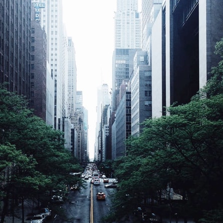 City